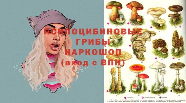 марки lsd Богданович