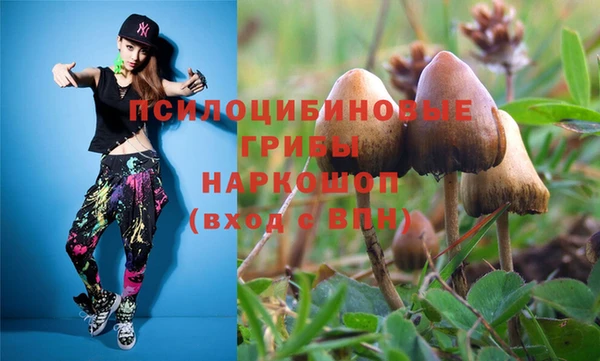 ГАЛЛЮЦИНОГЕННЫЕ ГРИБЫ Богородск