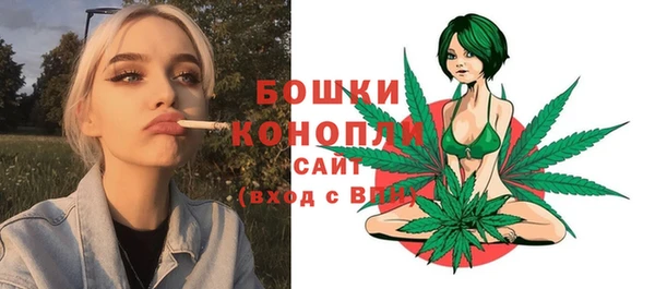твердый Богородицк