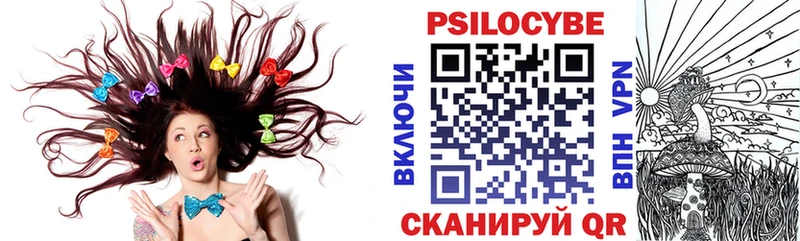 Псилоцибиновые грибы Psilocybe закладка Краснокаменск